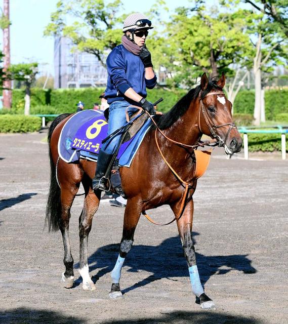 ダービー馬タスティエーラ　モレイラとの初コンビで菊花賞で２冠照準