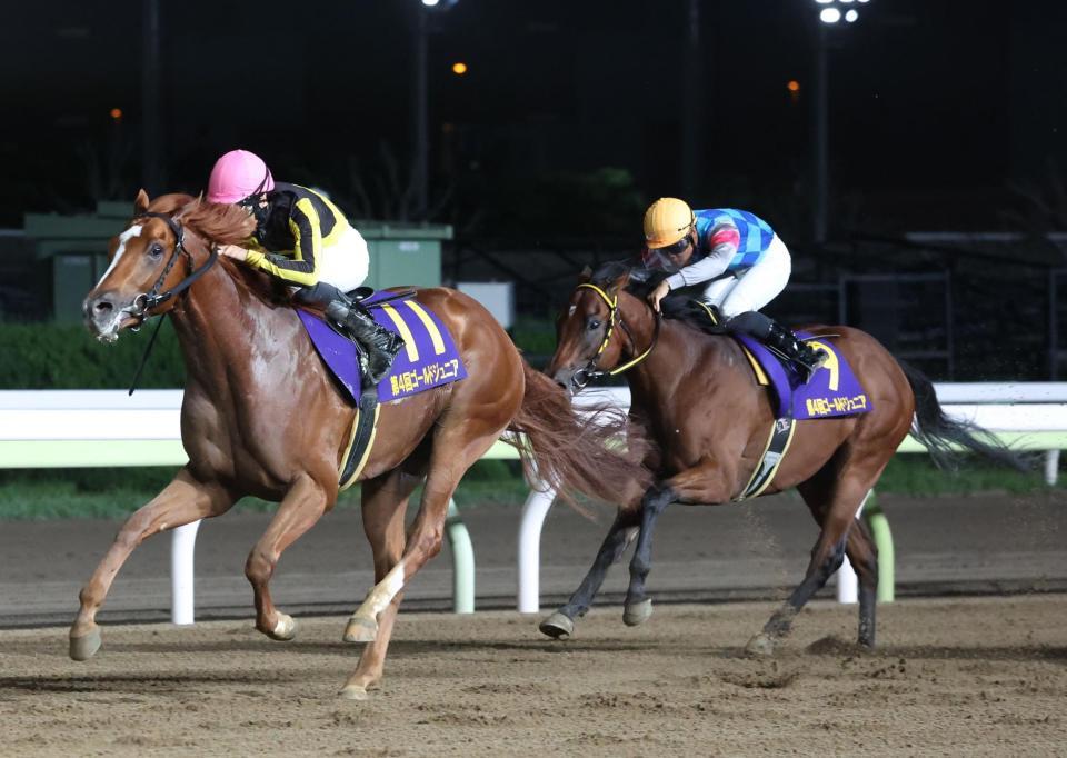 　ゴールドジュニアを制したクルマトラサン（左）