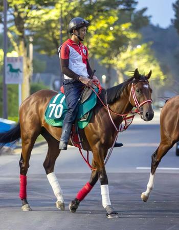 　運動するシュヴェルトリリエ（撮影・石湯恒介）