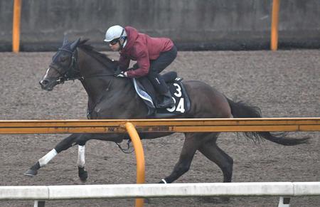 　グレートサンドシー