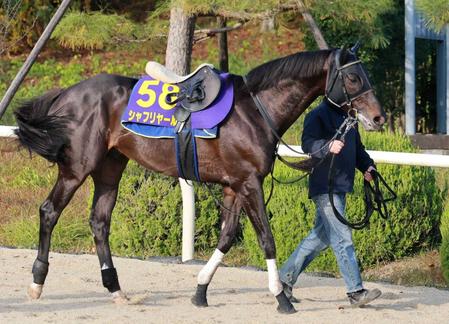 ８月末に喉手術のシャフリヤール　Ｃ・デムーロでＢＣターフへ　香港遠征も視野