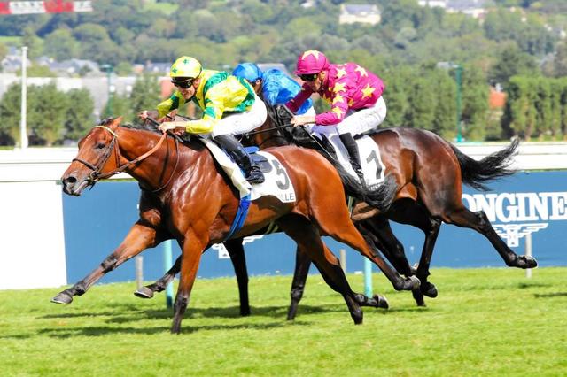 【凱旋門賞】エースインパクト　ド派手な走り繰り返す無敗の超新星　トレヴ以来の無敗戴冠へ