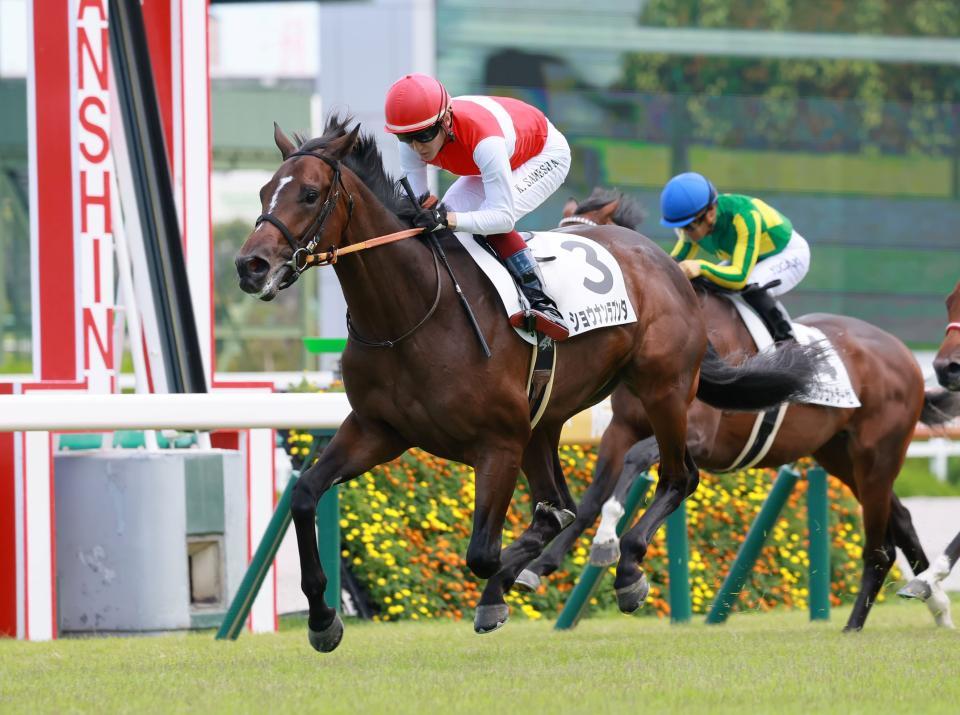 豪快に差し切ったショウナンラプンタ