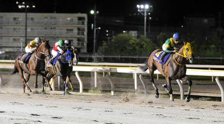 ２着以下を突き放し日本テレビ盃を制したウシュバテソーロ（右）＝船橋競馬場（撮影・持木克友）