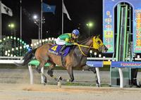 日本テレビ盃を制したウシュバテソーロ＝船橋競馬場（撮影・持木克友）