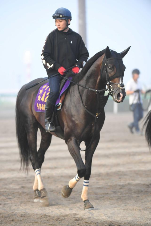 　タイトルホルダー