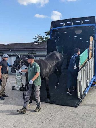 　無事に中山競馬場へ到着したナムラクレア