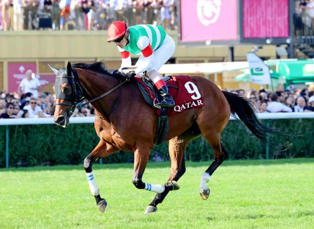 限定品［競馬］スルーセブンシーズ（2023年有馬記念）勝負服ストラップ 凱旋門賞】スルーセブンシーズ大健闘4着 “馬体大き過ぎない牝馬