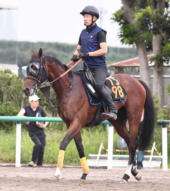 セントライト記念覇者レーベンスティールは菊花賞見送り