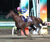 地方競馬】ドンフランキーが東京盃V 断然人気に応えて重賞2勝目 地方競馬】ドンフランキーが東京盃V 断然人気に応えて重賞2勝目