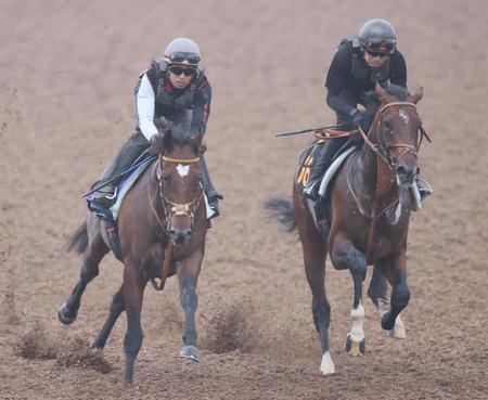 　ウッドチップコースでダノンエアズロックと併せて追われるタスティエーラ（左）