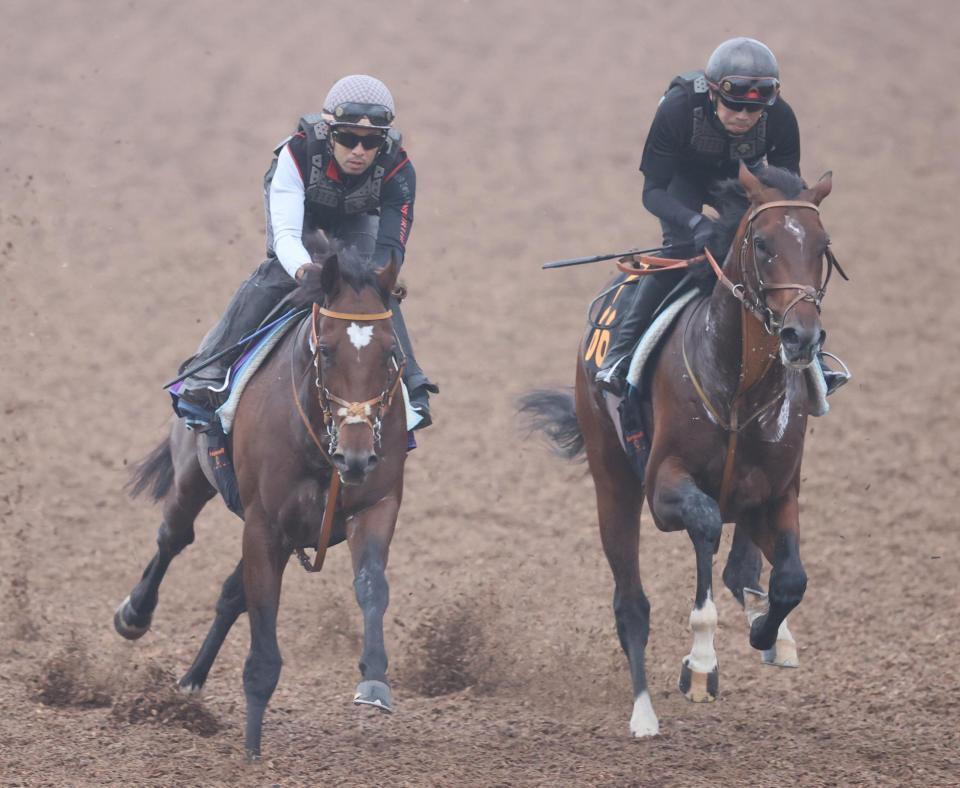 　ウッドチップコースでダノンエアズロックと併せて追われるタスティエーラ（左）