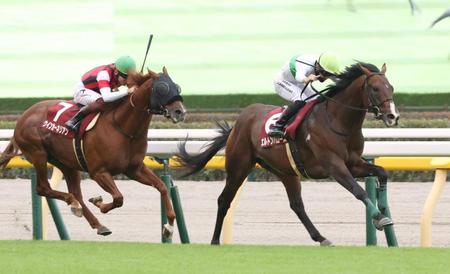 速報【毎日王冠】４番人気エルトンバローズが快勝　西村淳「神様にお祈りしました」関連ニュース編集者のオススメ記事ニュース馬体診断 - ホープフルＳ有力馬次走報今週の注目レース地方競馬        2024.12.27(金)の開催      的中速報主要ニュースアクセスランキング注目トピックス