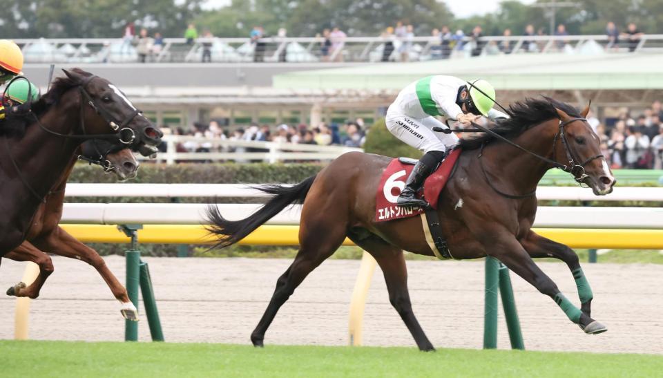 　ソングラインの猛追を振り切るエルトンバローズ（右）