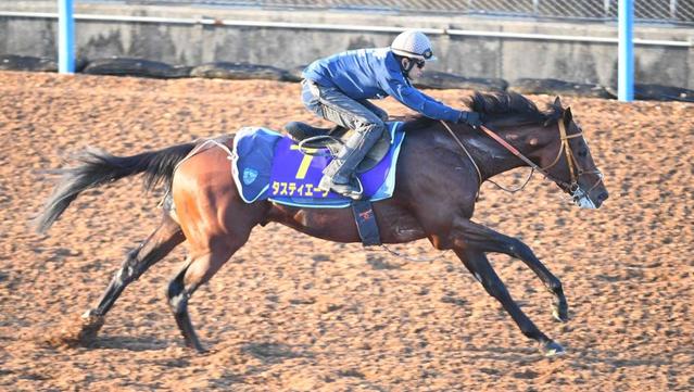 【菊花賞】タスティエーラ　さらなる進化走　ダービー馬の貫禄！切れ味鋭く一瞬で先行僚馬突き放す