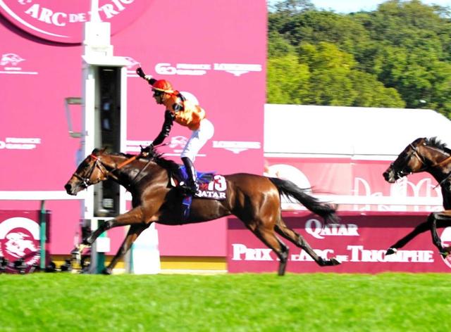 エースインパクト電撃引退 今年の無敗凱旋門賞馬 仏で種牡馬入り