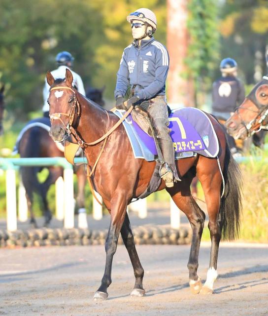 【菊花賞】タスティエーラ　ひと夏越し成長　淀の長丁場心配ご無用！　堀師「しぶとく伸びるので止まる感じはしません」