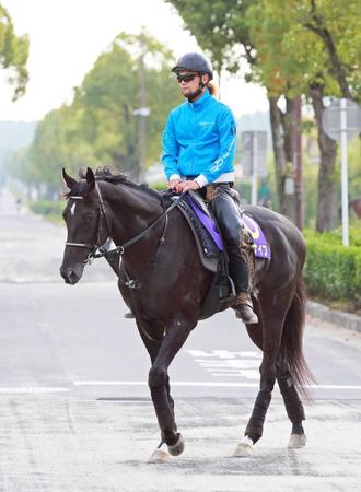 　シルバーコレクター返上なるかトップナイフ（撮影・石湯恒介）
