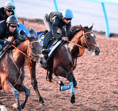 【菊花賞】ダービー馬タスティエーラ万全　２８年ぶり皐月賞馬と菊対決　初騎乗モレイラ「能力高い」