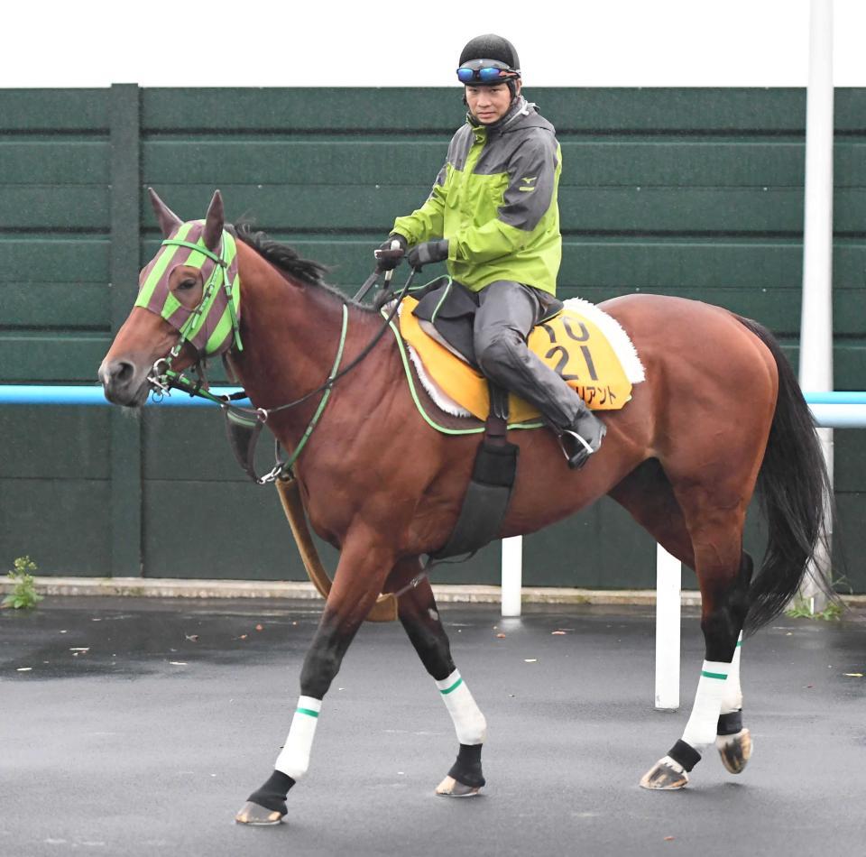 　ソーヴァリアント