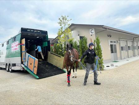 【菊花賞】ソールオリエンス成長実感　初の長距離輸送クリア　陣営「必ずしまいは伸びてくる」