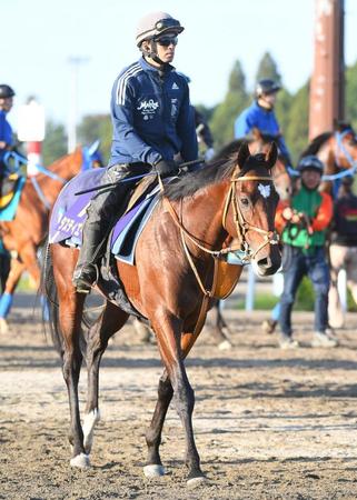 　タスティエーラ