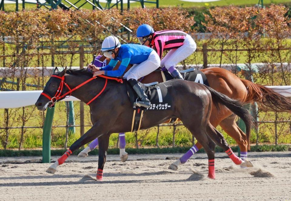 　なでしこ賞を制したナスティウェザー（撮影・石湯恒介）