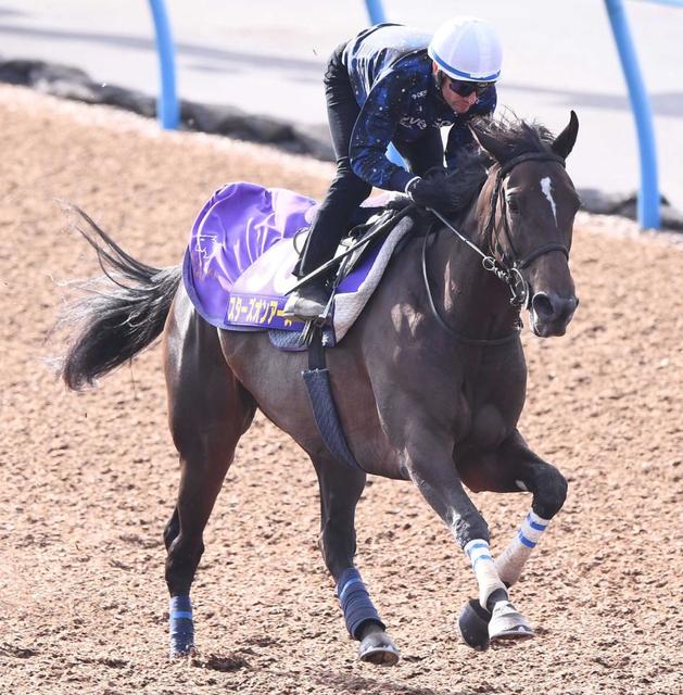 牝馬２冠馬スターズオンアースが天皇賞・秋を回避 蹄に異常