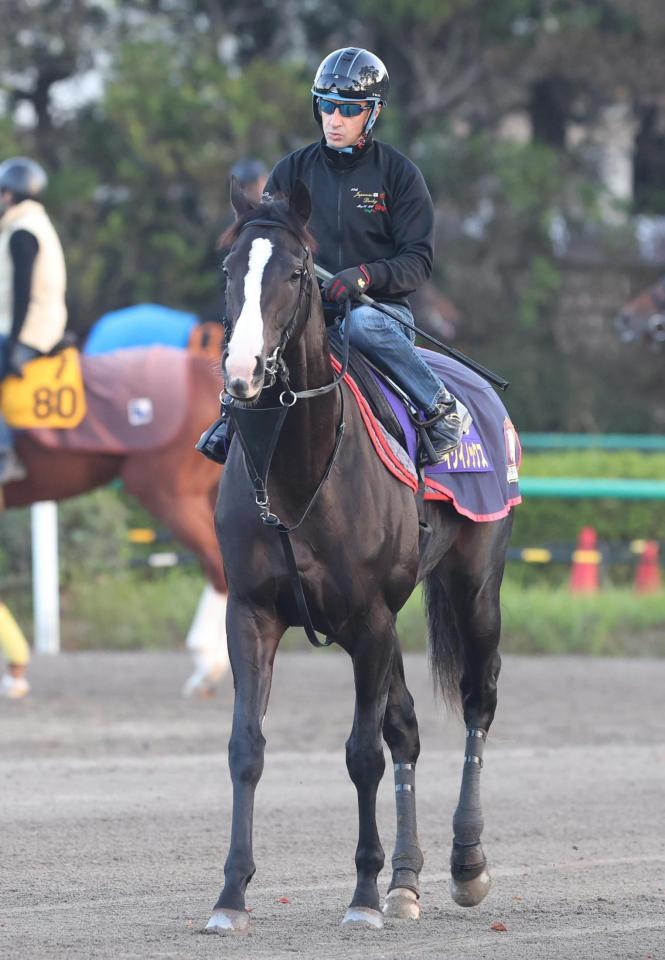 　ルメール騎手を背に馬場へ向かうイクイノックス＝美浦