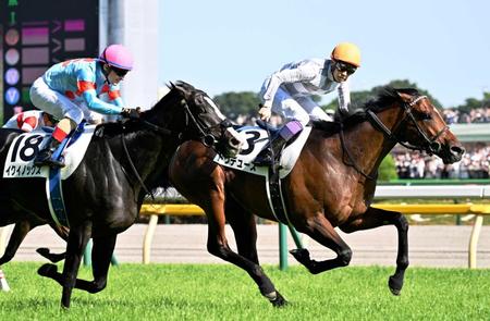 　第８９回日本ダービーを制した武豊騎乗のドウデュース（１３）。左は２着のイクイノックス＝東京競馬場