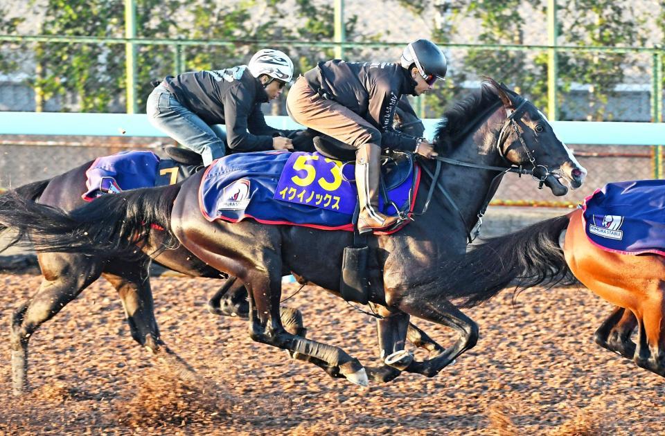 　美浦Ｗで鋭く伸びたイクイノックス（撮影・三好信也）