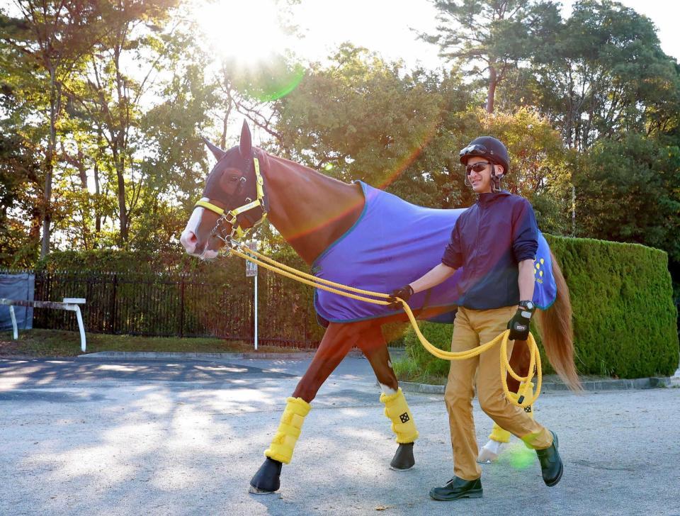 　同型不在で好ムード漂うジャックドール（撮影・石湯恒介）