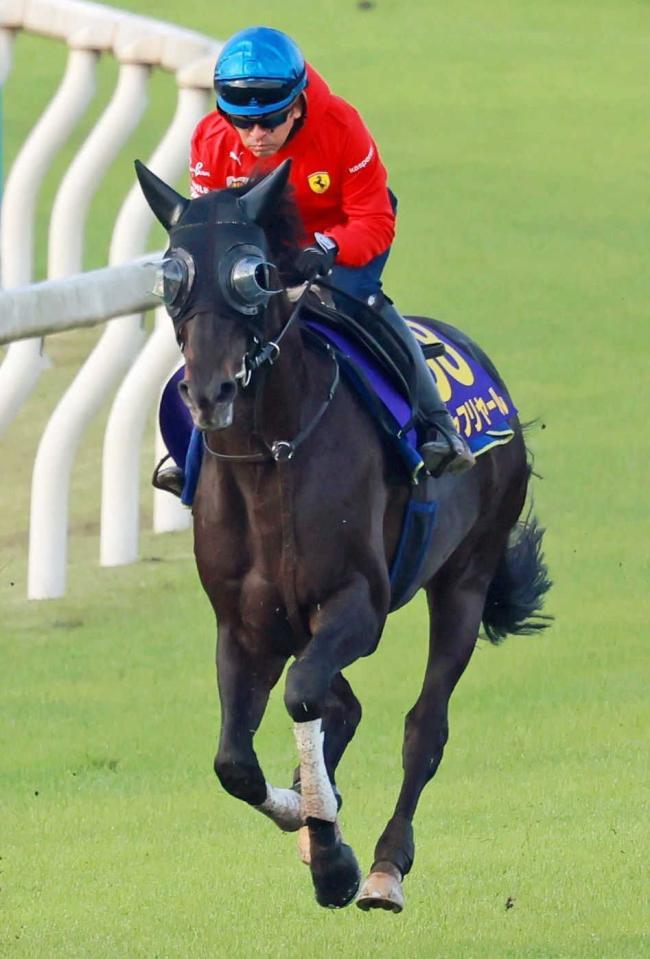 　香港ヴァーズの招待を受諾したシャフリヤール