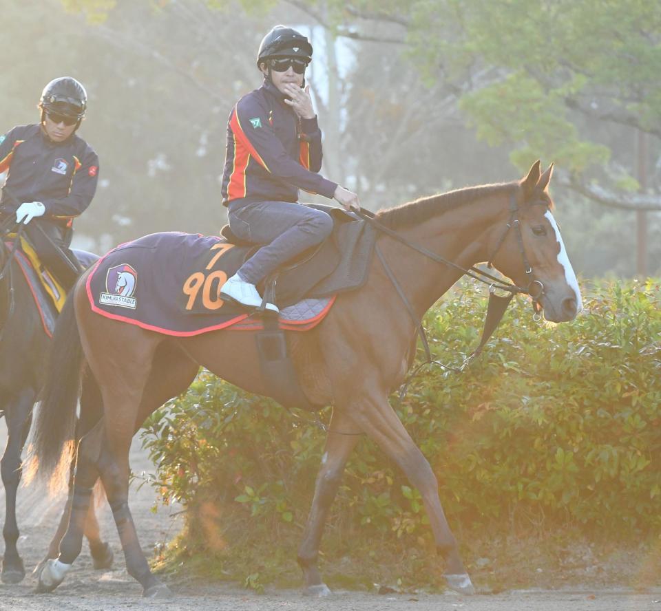 　チェルヴィニア