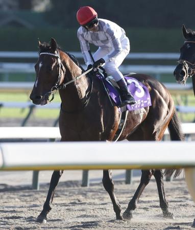 　７着に敗れたドウデュース