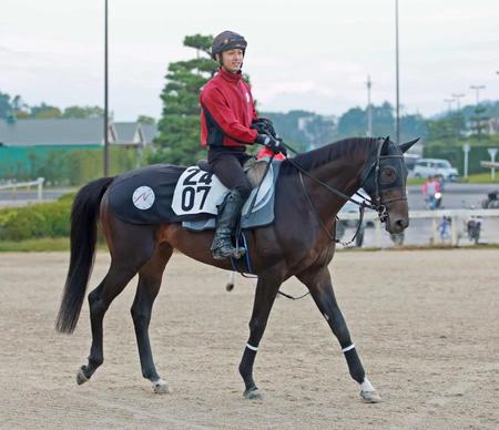 【アルゼンチン共和国杯】レッドバリエンテ　遅れてきたディープ産駒　勢い乗って初Ｇ奪取へ