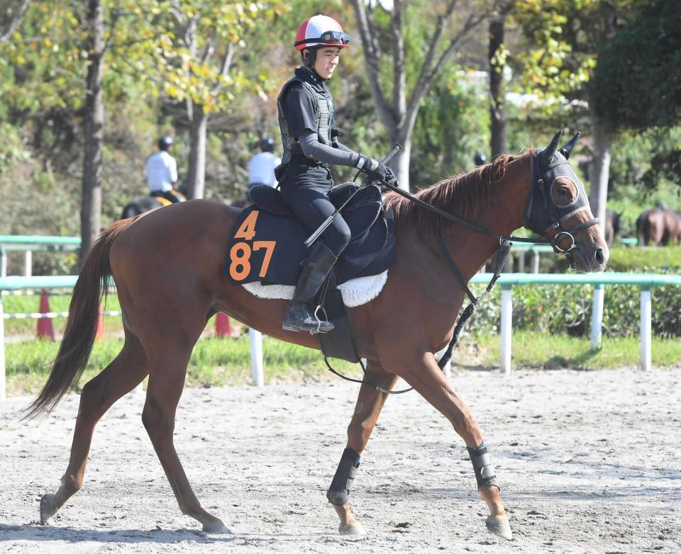 　重賞初制覇が期待されるコラソンビート