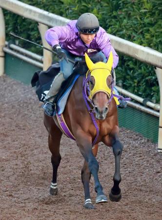 　栗東坂路で追い切るアスクワンタイム（撮影・石湯恒介）