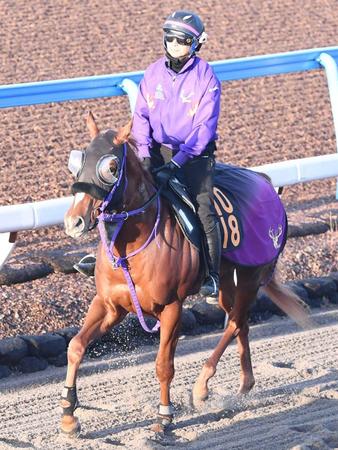 【新馬戦】バンビーノデオーロ　叔母は重賞馬の魅力ある血統　鹿戸師「真面目な馬でスピードある」