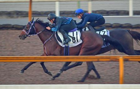 【みやこＳ】タイセイドレフォン充実走　叩いた効果絶大　「乗っている感触は時計よりも迫力ある」