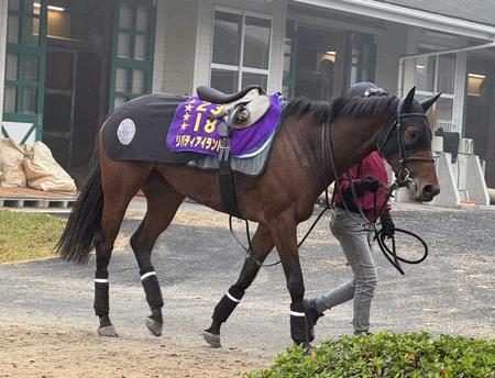 リバティアイランドが帰厩後初の馬場入り