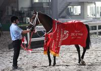 地方競馬】キングズソードが名手に導かれてJpn1初V/うま屋