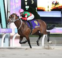 地方競馬】キングズソードが名手に導かれてJpn1初V/うま屋