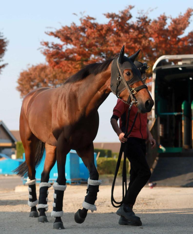 　馬運車から降り立ったリバティアイランド