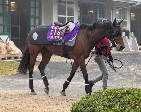 リバティアイランド　栗東帰厩後初の馬場入り　ＪＣに向けて陣営「恥ずかしくない状態に」