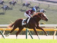 　新馬戦を圧勝したシンエンペラー（撮影・園田高夫）