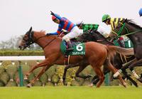 　下馬評を覆して快勝したカルチャーデイ（撮影・石湯恒介）