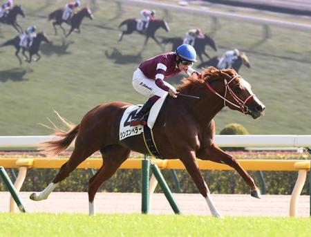 【新馬戦】シンエンペラー　３馬身差の快勝　２０年凱旋門賞馬全弟の超良血馬