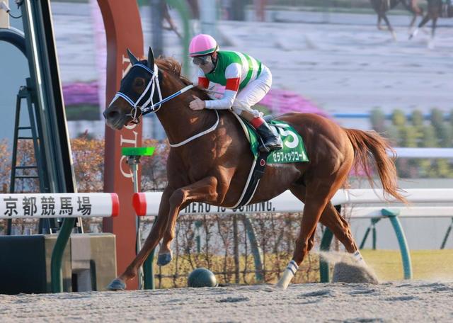 みやこS】超新星誕生！無傷5連勝でセラフィックコールが重賞初V