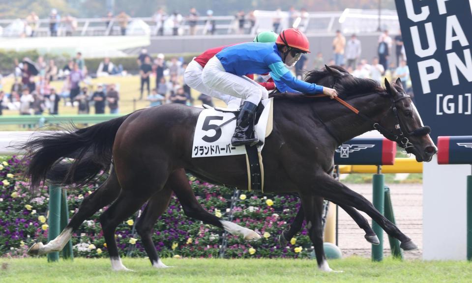 　デビュー戦を勝利したグランドハーバー（手前）